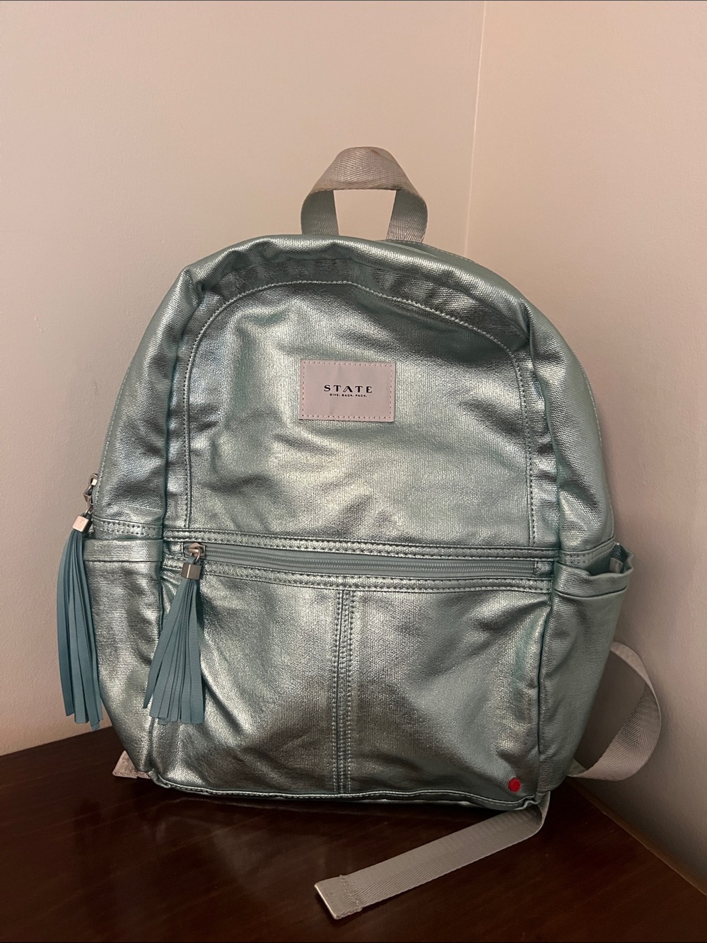 STATE Metallic Teal Mini Backpack with Tassel Zips